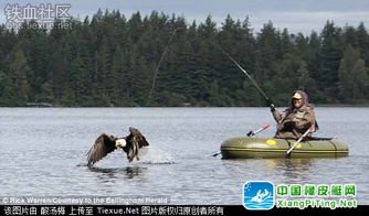 禿鷹突襲釣魚艇，男子荒野歷險記